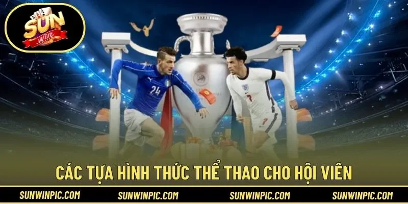 Các tựa hình thức thể thao cho hội viên chinh phục