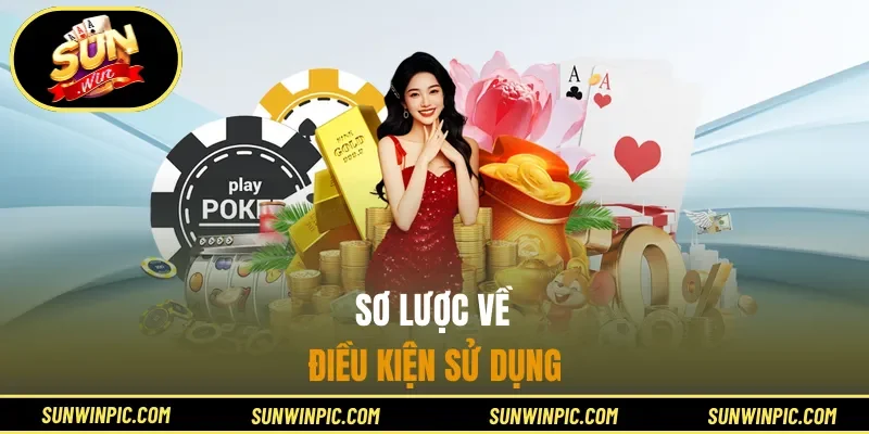 Sơ lược về điều kiện sử dụng